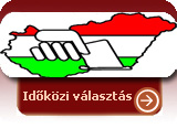 2012 évi időközi választás
