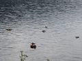 foto_21
