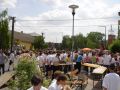 DSC08892
