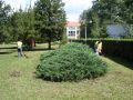 foto-23