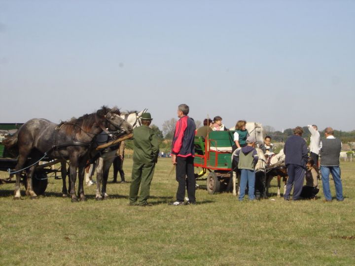 Teljes nézet
