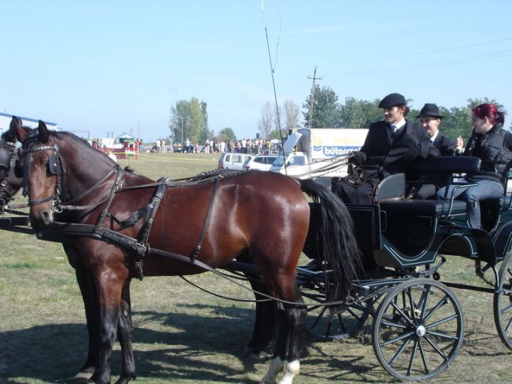 Teljes nézet