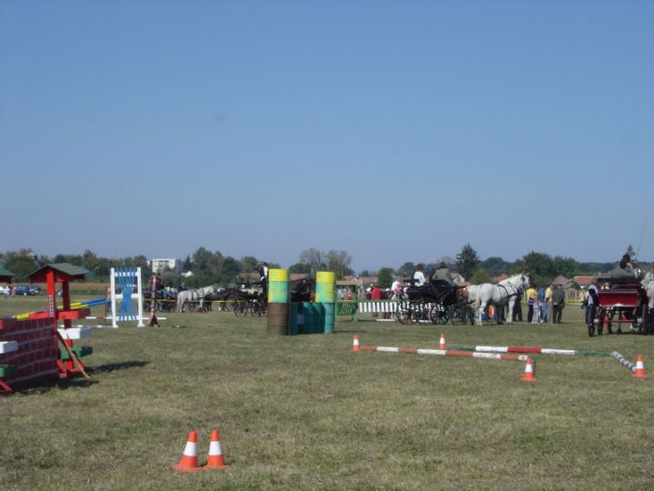 Teljes nézet
